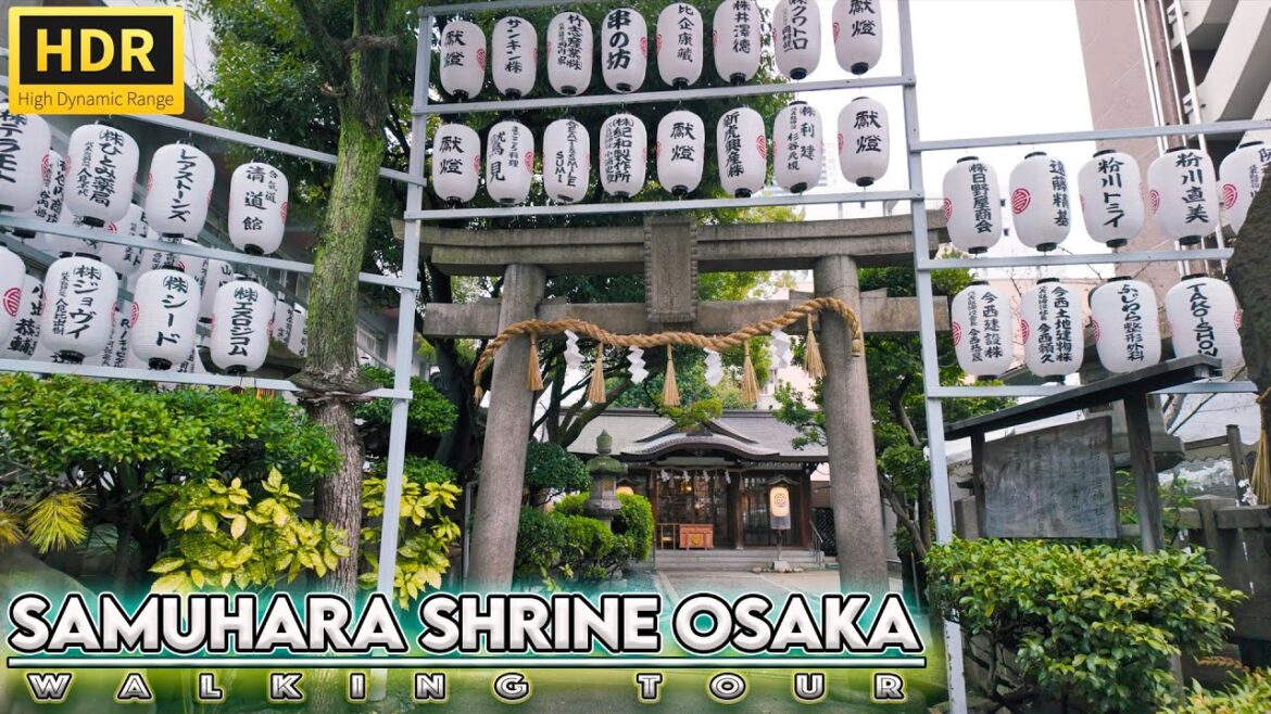 A small sanctuary in the city: #virtual_tour