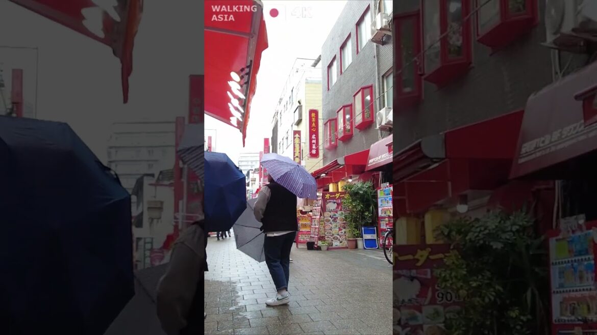 🇯🇵 Experience #Kobe in #Japan with us! #Shorts 🇯🇵 Experience #Kobe in #Japan with us! #Shorts