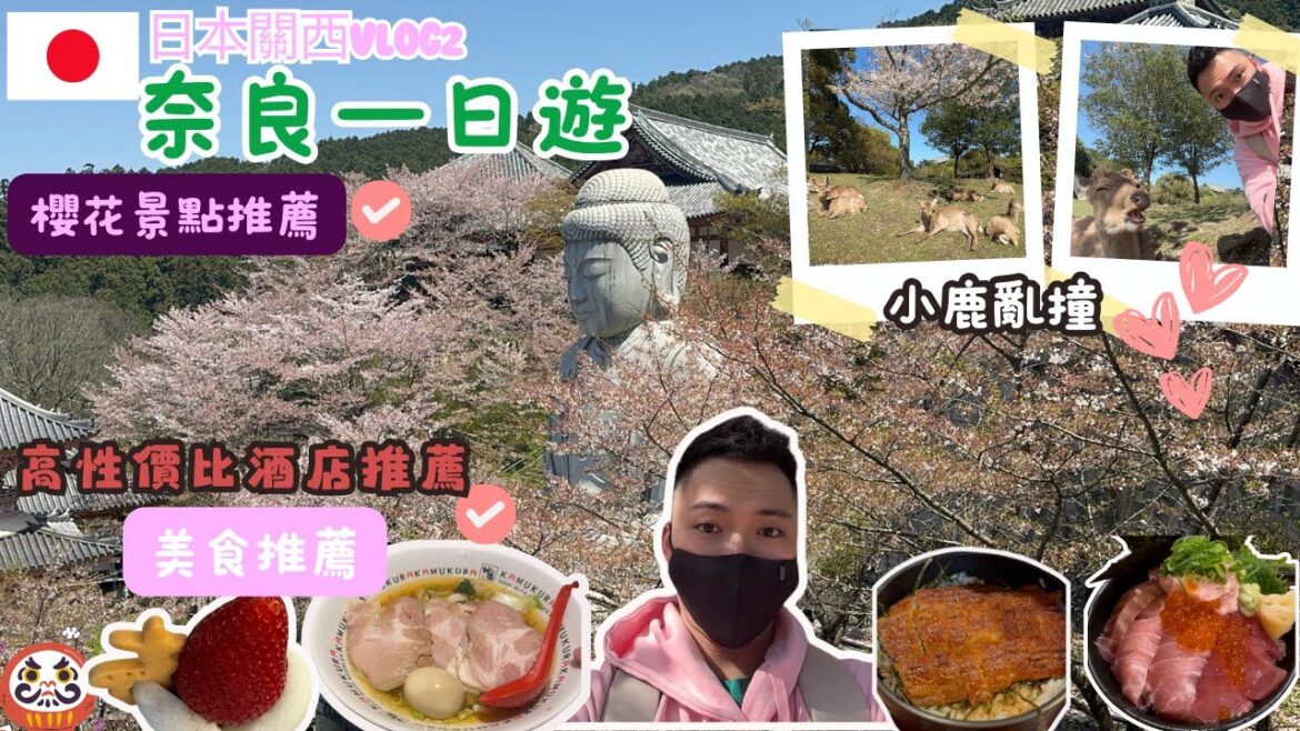 『2024🇯🇵關西之旅vlog EP2 』租車自駕🚗追櫻丨奈良一日遊丨奈良公園丨壺坂寺丨安倍文殊院丨美食推薦丨性價比高酒店推薦丨 #travel #japan #nara #sakura #deer 『2024🇯🇵關西之旅vlog EP2 』租車自駕🚗追櫻丨奈良一日遊丨奈良公園丨壺坂寺丨安倍文殊院丨美食推薦丨性價比高酒店推薦丨 #travel #japan #nara #sakura #deer