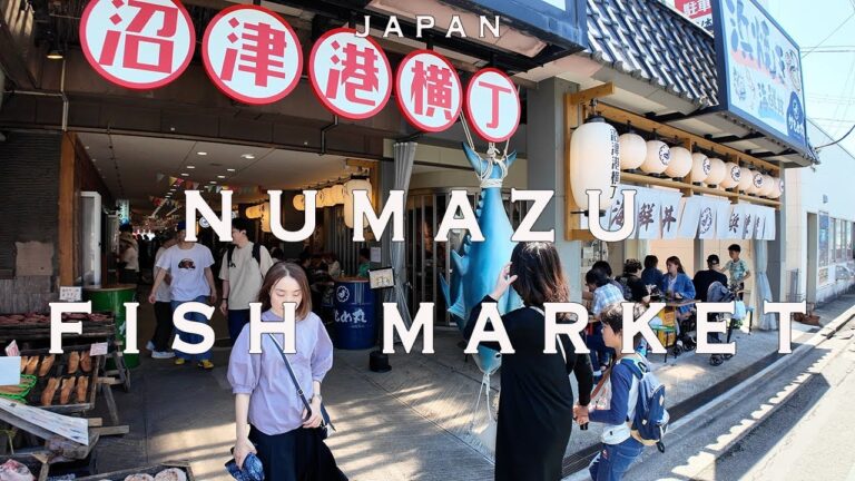 Numazu 4K Walking Tour with Captions & Immersive Sound.沼津魚市場