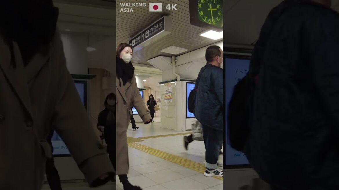 🇯🇵 Experience #Kobe in #Japan with us! #Shorts 🇯🇵 Experience #Kobe in #Japan with us! #Shorts