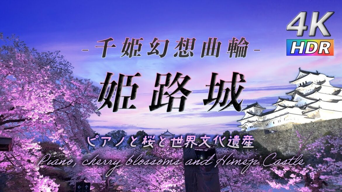 【4K HDR 】日本のさくら名所100選 - ピアノと桜と姫路城 - Piano, cherry blossoms and Himeji Castle - 千姫幻想曲輪 お花見 桜 2024