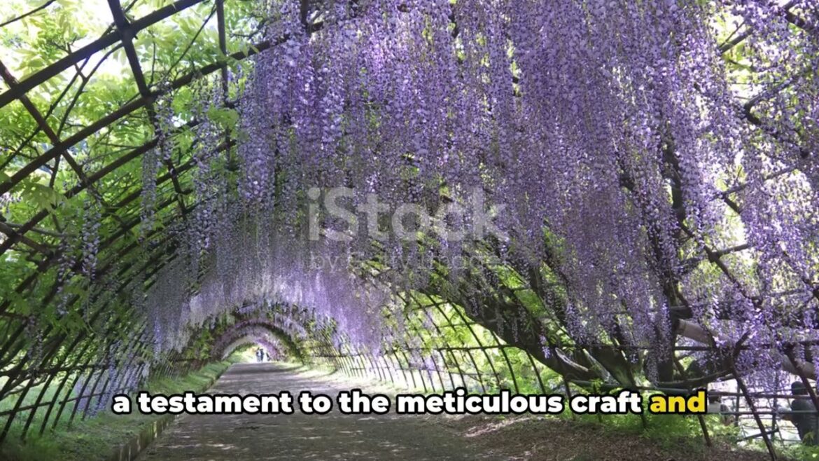 A Journey Through Kawachi Fuji Gardens