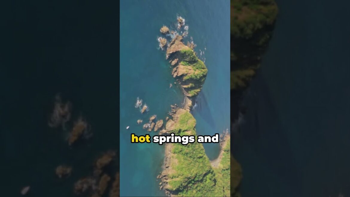 A Tour of Izu  #hakone #facts #discoverjapan #travel #wanderlustjapan