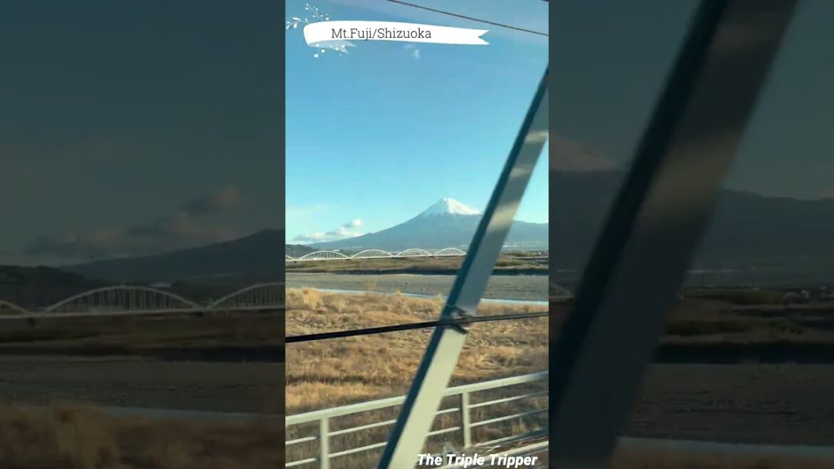 "Mt. Fuji view from the Shinkansen"  Shizuoka/Japan Trip-Log #shorts