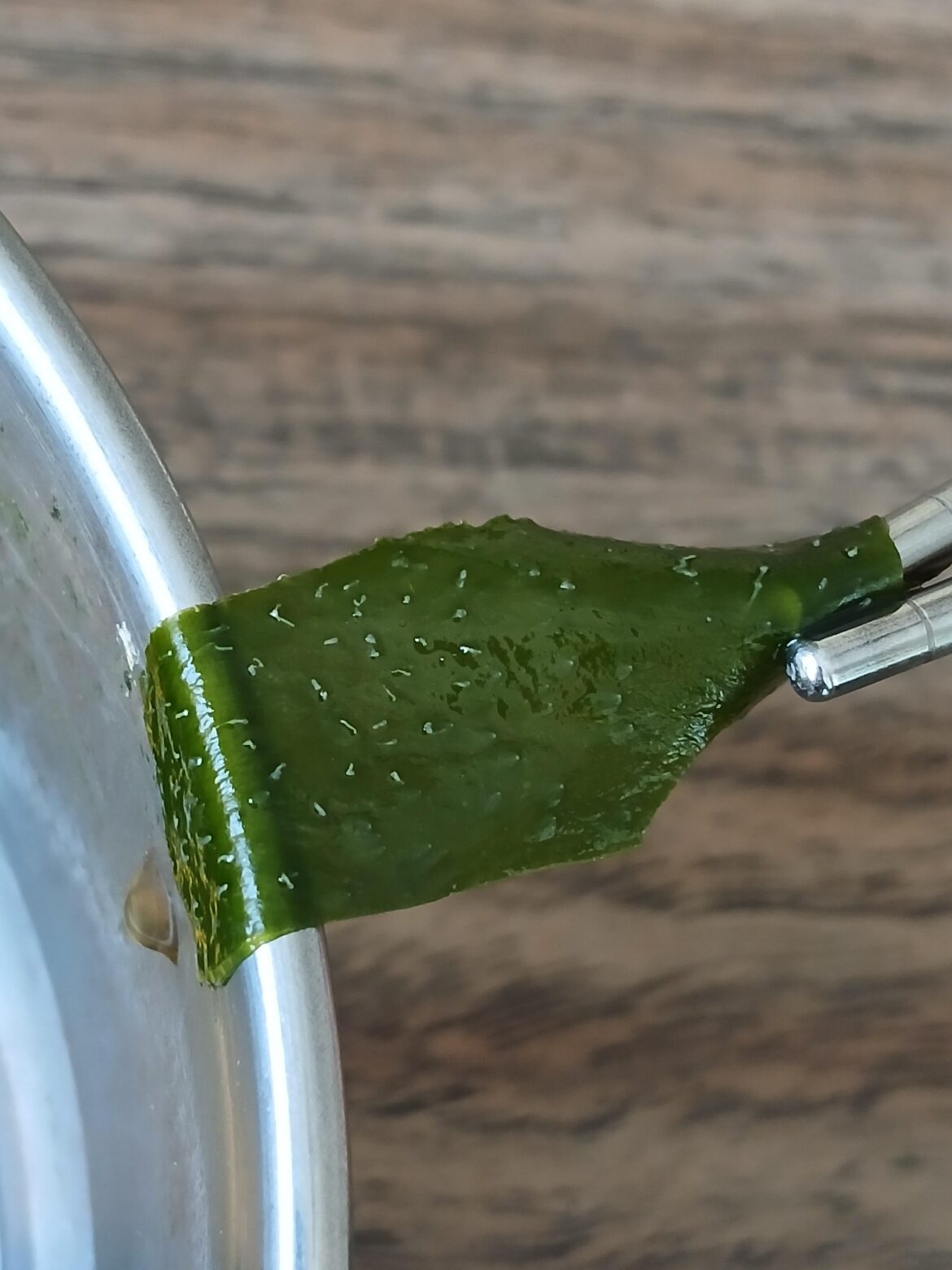 What are these white hairs on the Wakame seaweed?