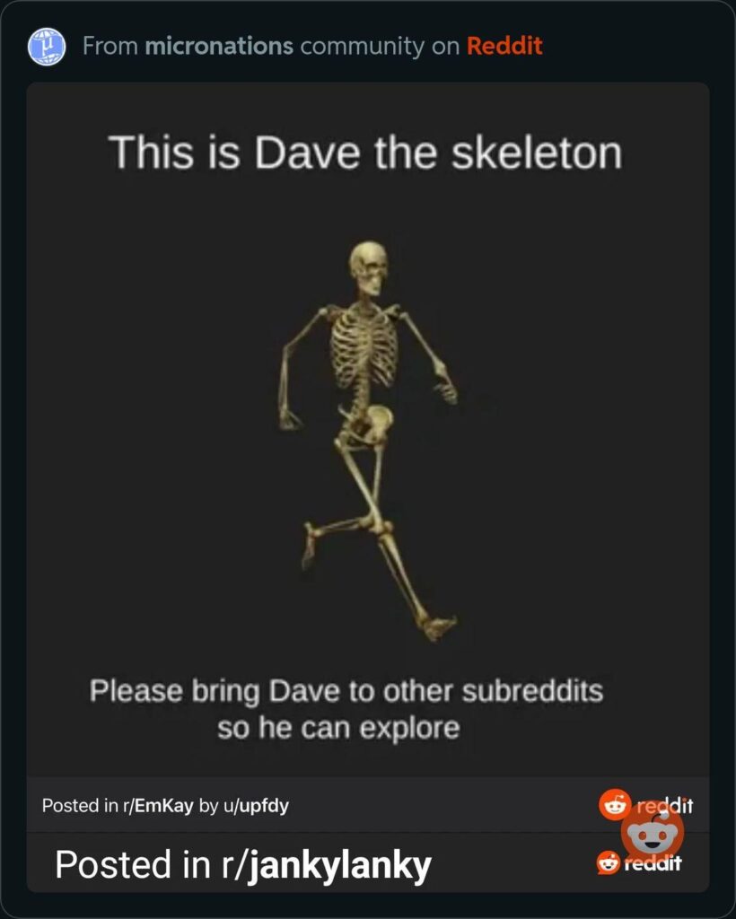 This is Dave the skeleton