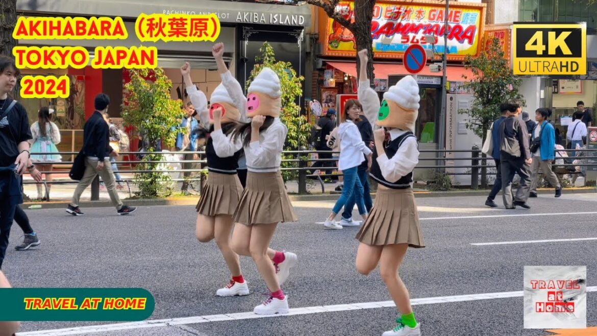 4k hdr japan travel 2024 | Walk in Akihabara(秋葉原)Tokyo Japan | Relaxing Natural City ambience 4k hdr japan travel 2024 | Walk in Akihabara(秋葉原)Tokyo Japan | Relaxing Natural City ambience