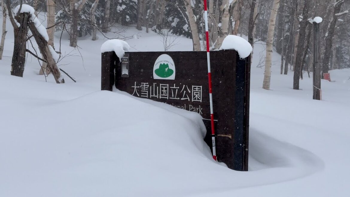 Japan's Big Snowy Natural Hot Springs and Most Loved Stations by Train Ep.3| Hokkaido Furano Sapporo