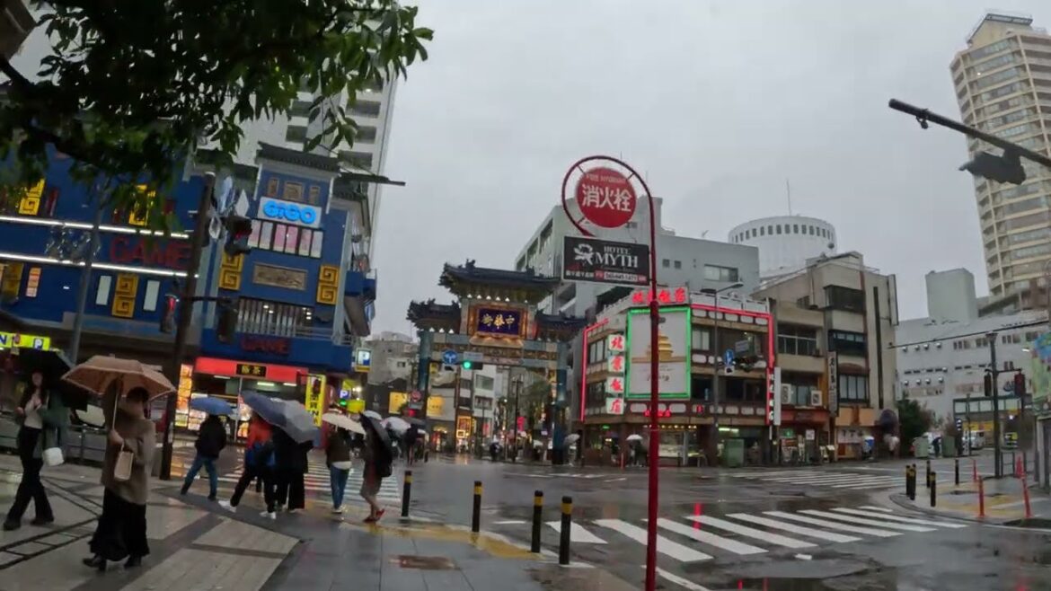 Yokohama,Japan Walk 🇯🇵 横浜 散歩