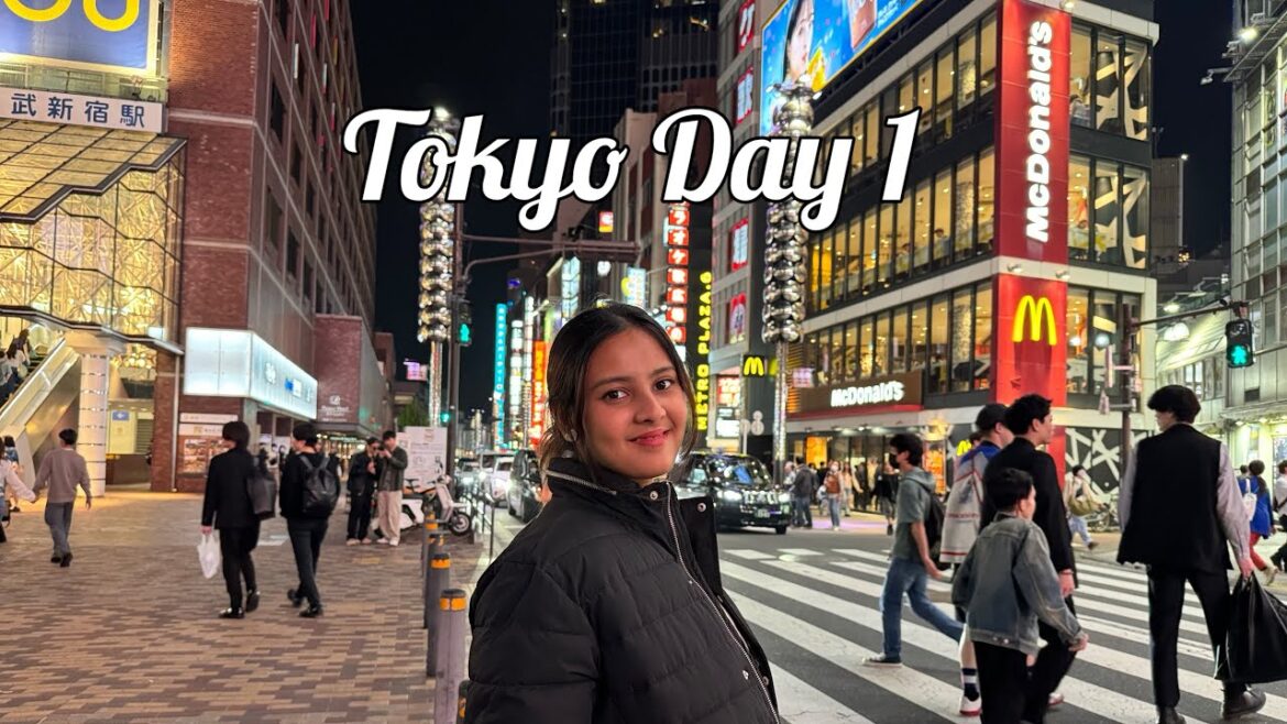 Tokyo Dream Vacation: Indian Journey Begins | Day 1 Tokyo Dream Vacation: Indian Journey Begins | Day 1
