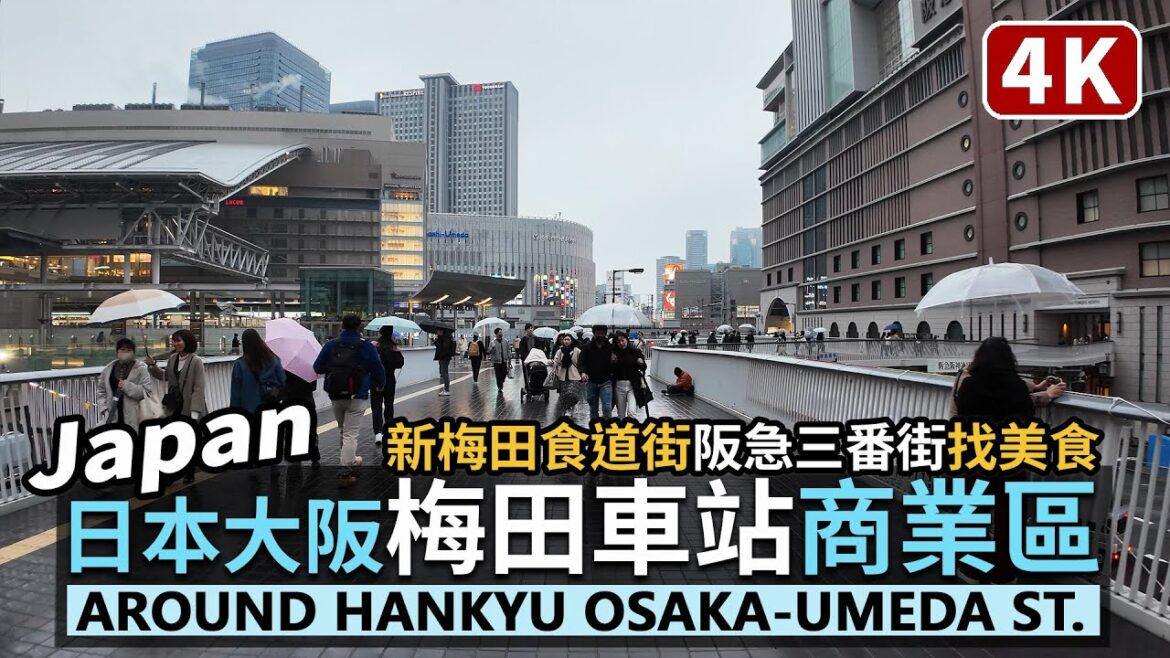 Japan/超熱鬧!日本大阪梅田站找晚餐 Around Osaka-Umeda Station 隱藏版迷宮餐廳街「新梅田食道街」、阪急三番街地下街美食/JR大阪駅&大阪梅田駅/오사카 우메다 日本旅行 Japan/超熱鬧!日本大阪梅田站找晚餐 Around Osaka-Umeda Station 隱藏版迷宮餐廳街「新梅田食道街」、阪急三番街地下街美食/JR大阪駅&大阪梅田駅/오사카 우메다 日本旅行