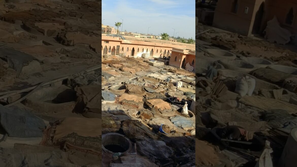 مدبغة مراكش