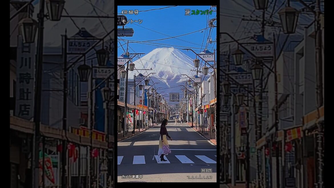 Our day trip to Mt. Fuji, Japan 🗻❤️🫎 #japan #fuji #moosie