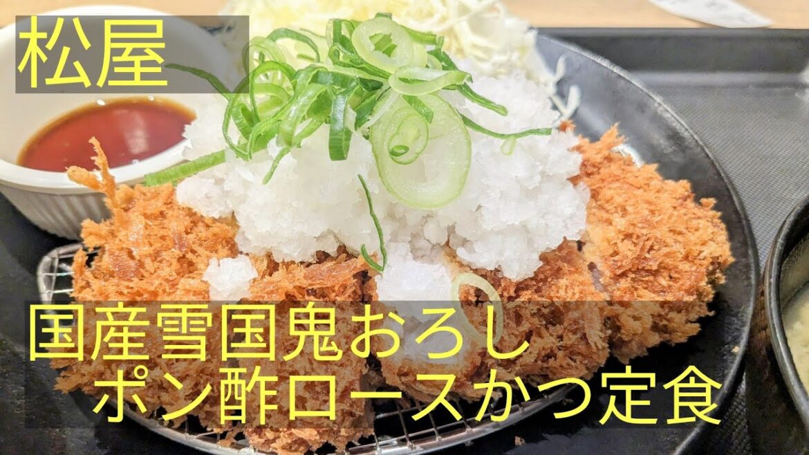4／24発売　松のや　国産雪国育ち鬼おろしポン酢ロースかつ定食　Japanese pork loin cutlet set meal　Matsuya, Japan Food Tour