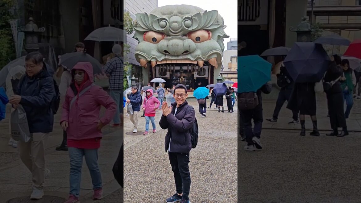 🛫👏🇯🇵👏🍜👏🏯👏🍙👏🎎👏  #japan #travel #japantravel #travelvlog #shorts #osaka #japan2024 #japantravelguide