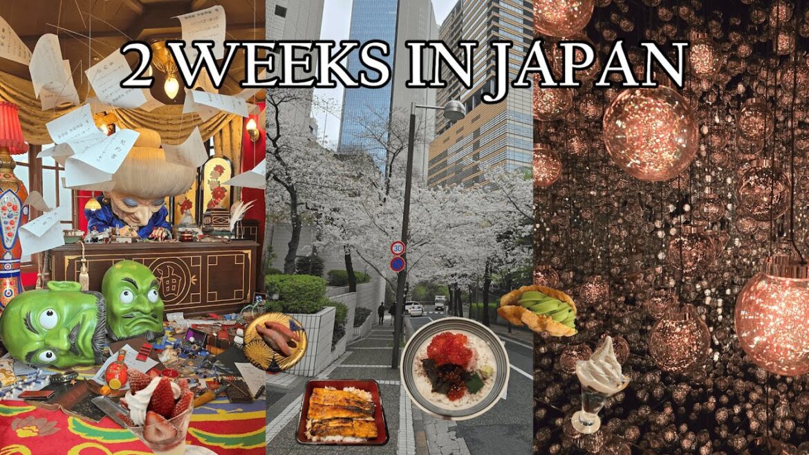 Japan Vlog 🇯🇵🗼| Ghibli Park, Super Nintendo World, teamLab, Kirby Café, cherry blossoms & food!
