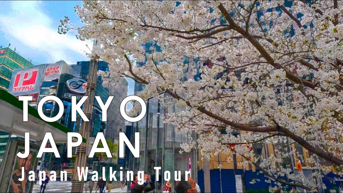 Japan walking tour in Tokyo Spring 2024 4K 60fps HDR