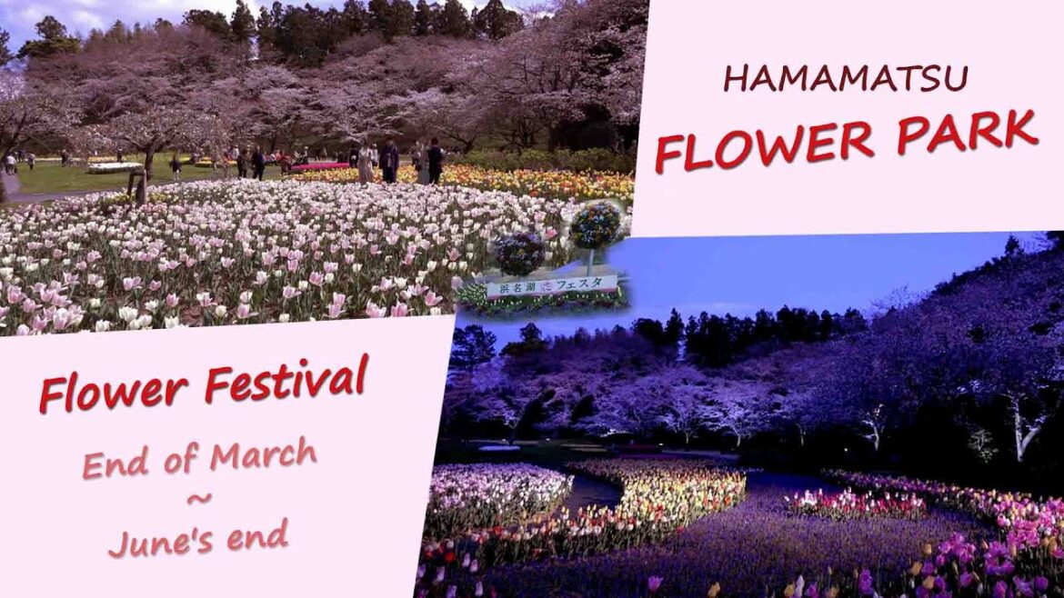 Hamamatsu Flower Park Flower Festival Hamamatsu Flower Park Flower Festival