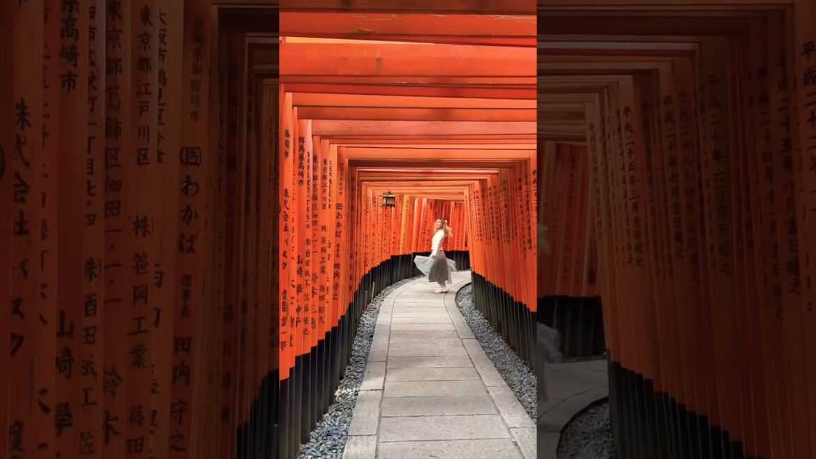 things to do in kyoto japan 🇯🇵 mini vlog shorts aesthetic travel vlog