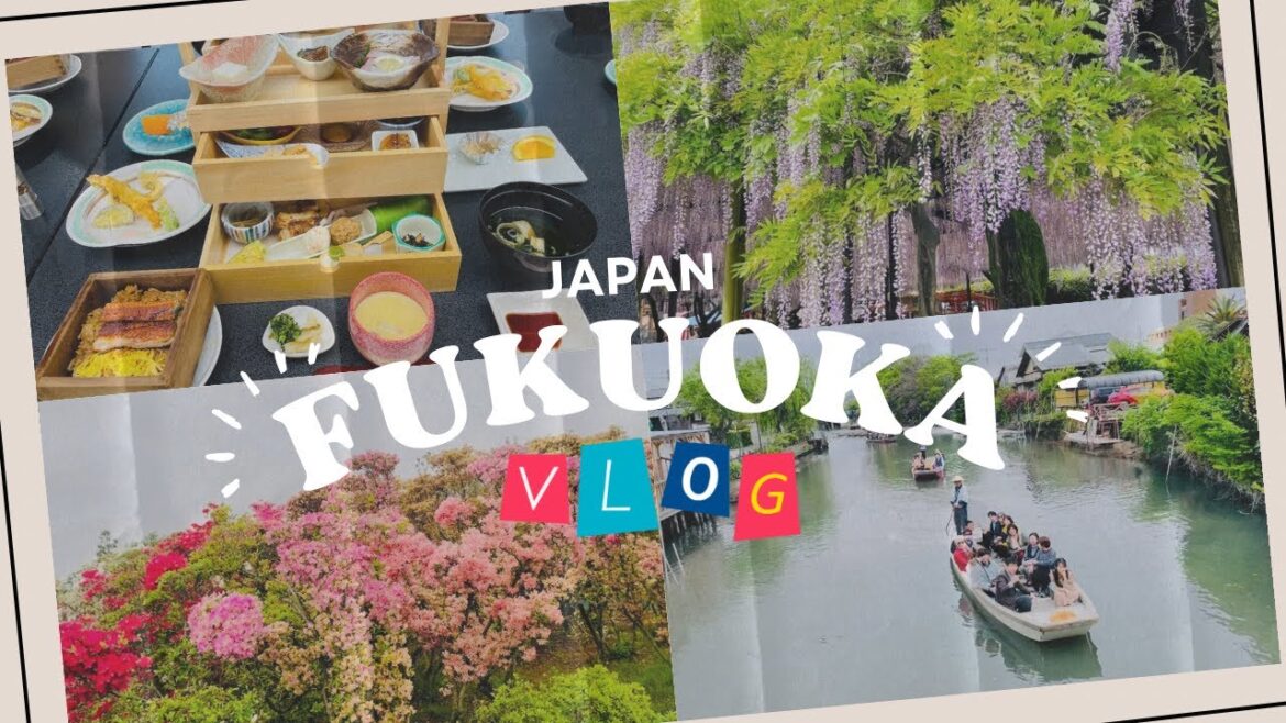 【福岡観光】柳川川下り・鰻のセイロ蒸し・黒木の大藤・八女茶畑・久留米市世界つつじセンター・苺狩り/福岡グルメ・福岡旅行・福岡観光スポット/ fukuoka JAPAN 柳川グルメ 【福岡観光】柳川川下り・鰻のセイロ蒸し・黒木の大藤・八女茶畑・久留米市世界つつじセンター・苺狩り/福岡グルメ・福岡旅行・福岡観光スポット/ fukuoka JAPAN 柳川グルメ