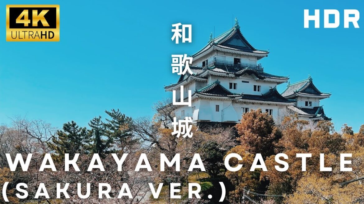 🌸Wakayama Castle during Cherry Blossom Season | 4K HDR 🌸Wakayama Castle during Cherry Blossom Season | 4K HDR
