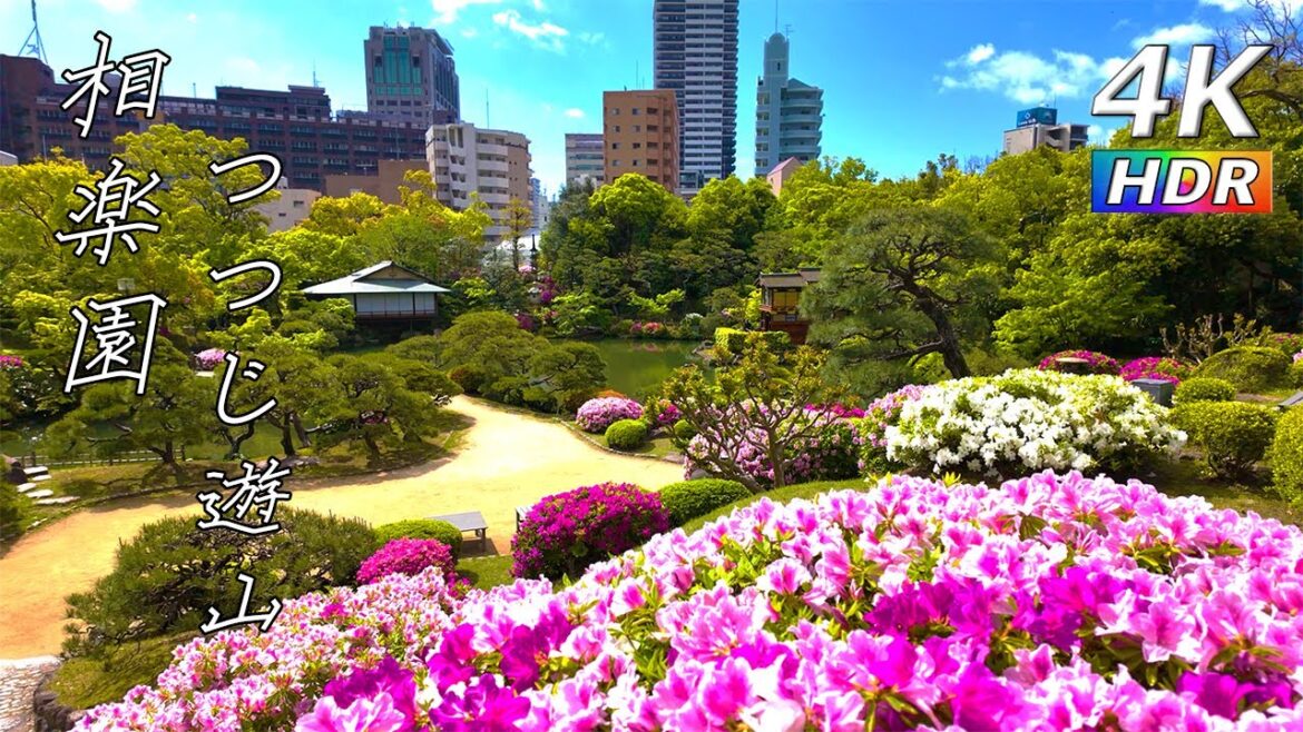 【4K HDR】都会のユートピア 相楽園 つつじ遊山 2024 – SORAKUEN GARDEN – 【4K HDR】都会のユートピア 相楽園 つつじ遊山 2024 - SORAKUEN GARDEN -