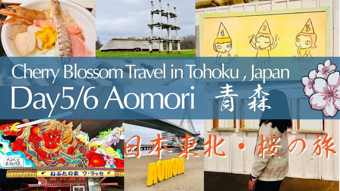 Travel in Aomori, Japan Tohoku Day5/6 Nebuta Museum A-Factory🍎20240418&19 Sannai-Maruyama Nokkedon🍣