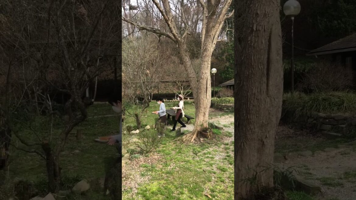 【KOBE】Must-Try Farm Café- Yuge Farm