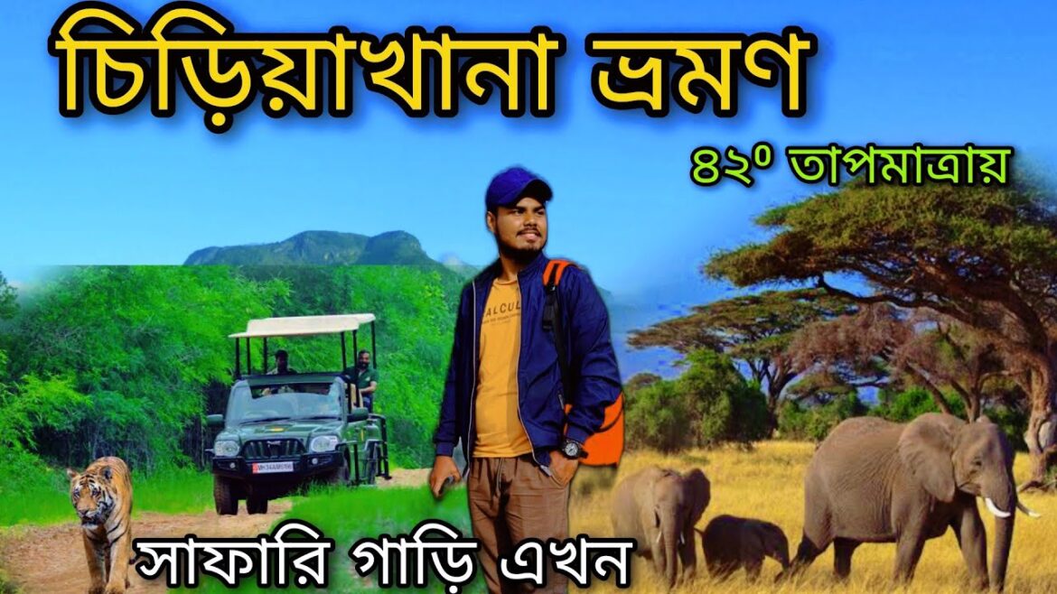 কলকাতা চিড়িয়াখানা  ভ্রমন 2024: আকর্ষণীয় রহস্য উদঘাটন!Kolkata alipur chiriakhana 2024।Alipur zoo।।