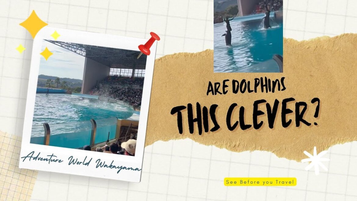 Are Dolphins this Intelligent? Adventure World-Wakayama, Japan