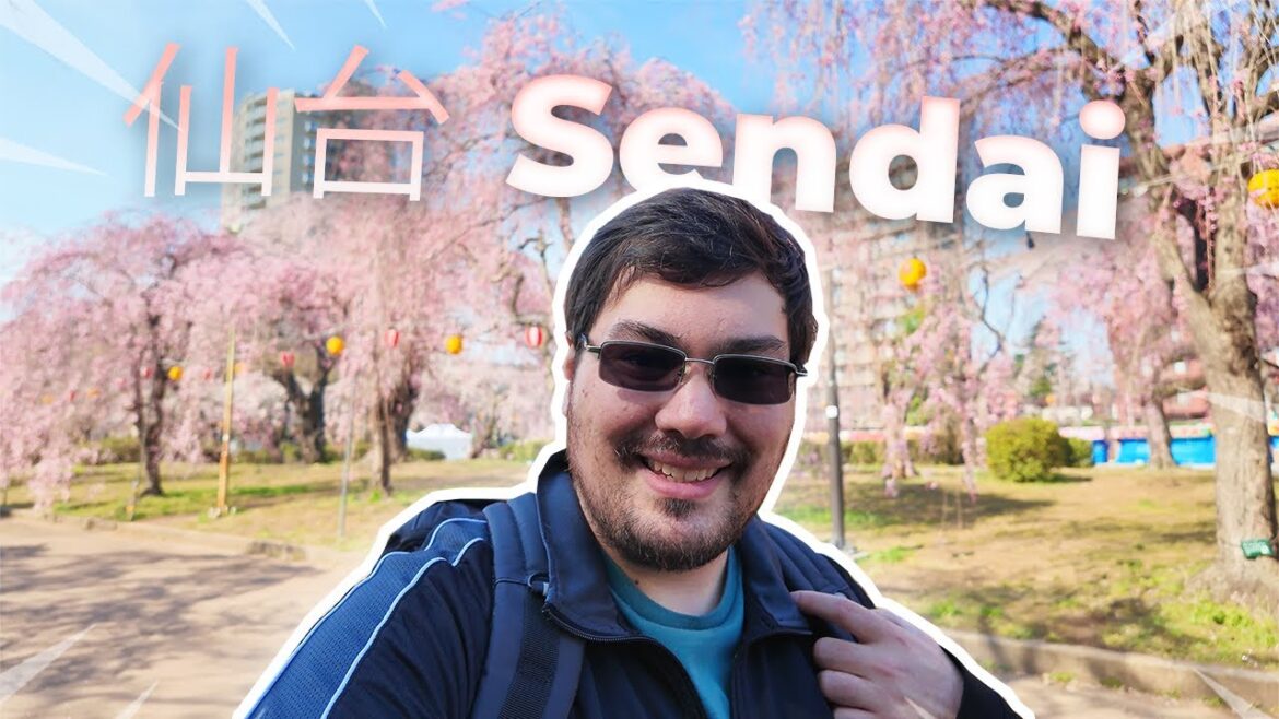 Walking Through Sendai’s Top Sakura Viewing Spots! Japan Sakura Season! Cherry Blossom Viewing! Walking Through Sendai's Top Sakura Viewing Spots! Japan Sakura Season! Cherry Blossom Viewing!