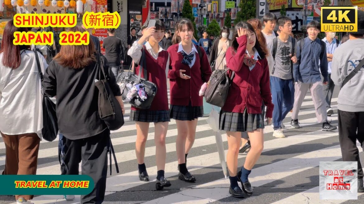 4k hdr japan travel 2024 | Walk in Shinjuku（新宿）Tokyo Japan |  Relaxing Natural City ambience