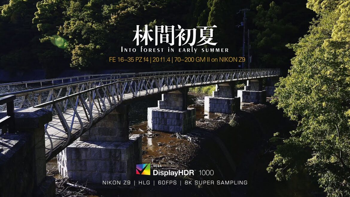 【4K HDR】Japan Kobe Summer Forest,The Natural Sanatorium | 森林,天然的疗养院—林间初夏 | 索尼FE镜头转接Z9  | 环境声+8K超采 | 【4K HDR】Japan Kobe Summer Forest,The Natural Sanatorium | 森林,天然的疗养院—林间初夏 | 索尼FE镜头转接Z9  | 环境声+8K超采 |