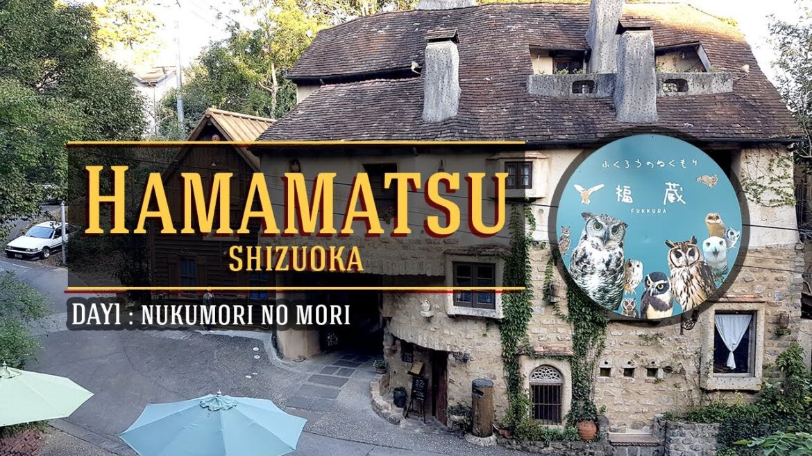 เที่ยวญี่ปุ่น 🔴 2019 Chubu Trip : EP.1: Hamamatsu หมู่บ้านเทพนิยาย -โตโตโร่ (Nukumori) | คาเฟ่นกฮูก