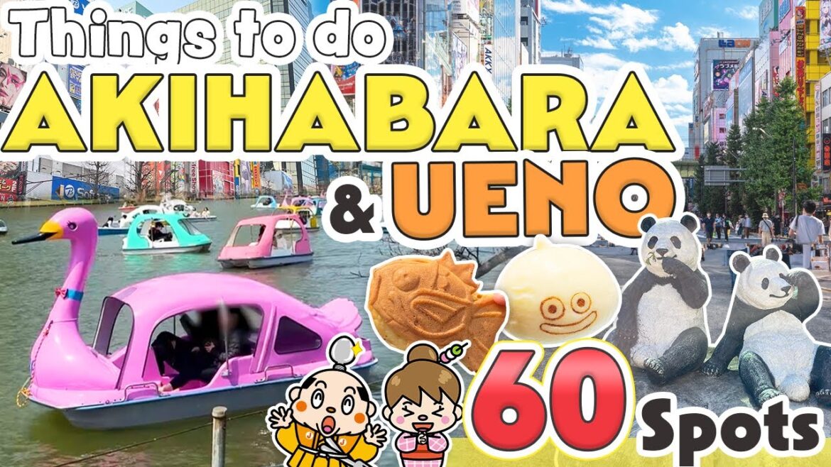 Things to do in Akihabara and Ueno Tokyo / Japan Travel Update 2024 Things to do in Akihabara and Ueno Tokyo / Japan Travel Update 2024
