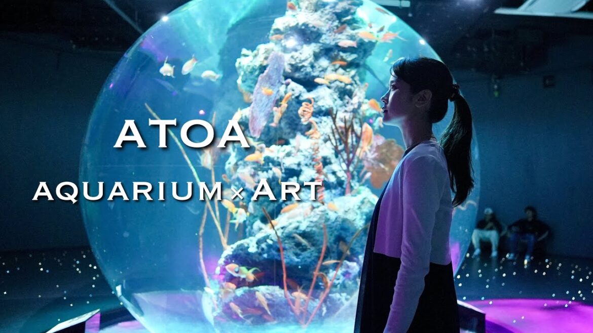 神戸観光 / atoa / 水族館