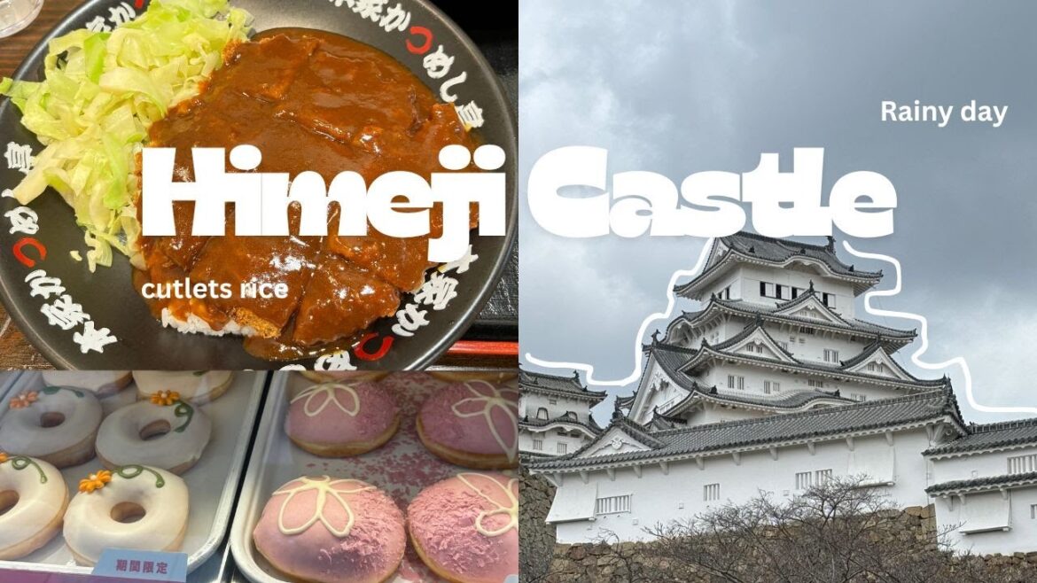 let's trip to the Himeji Castle/ Kobe in Japan with a japanese college student