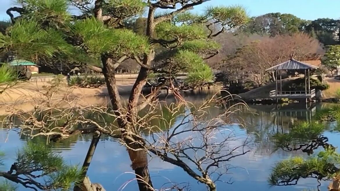 Views of Traditional Japanese garden Okayama Korakuen Views of Traditional Japanese garden Okayama Korakuen