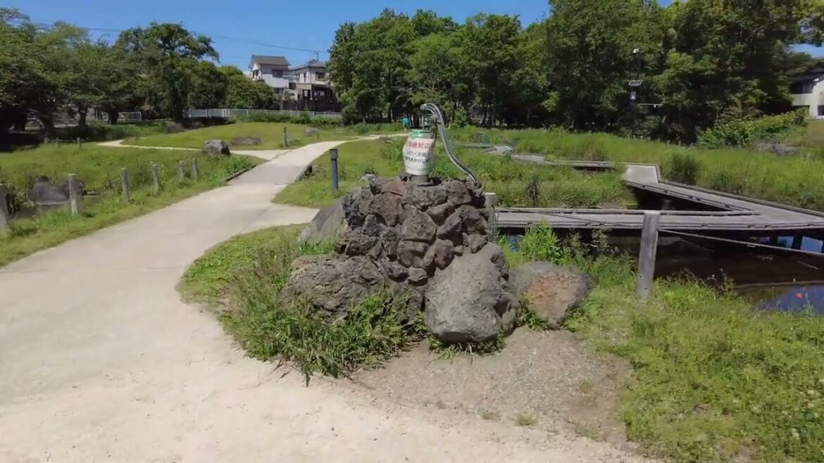Maruike Park, Pond, Brook, Pier, Mt. Fuji, Kids, Mothers, Tamagawa, Shimizu, Sunto, Shizuoka, Japan