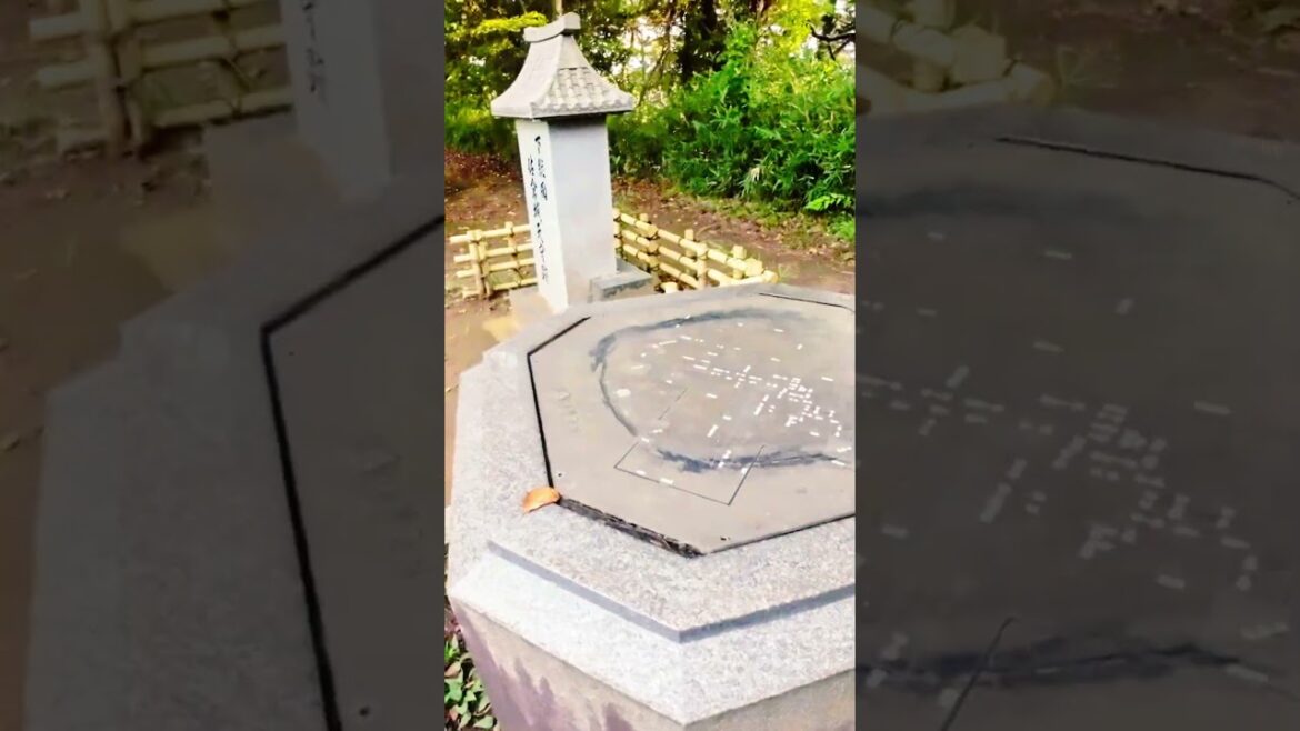 The Sakura Castle Ruins Park in Chiba, Japan