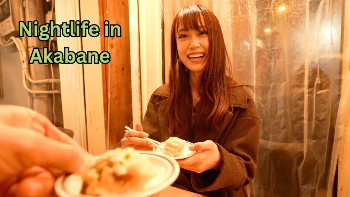 A Night With A Japanese Girl In Tokyo's Akabane District