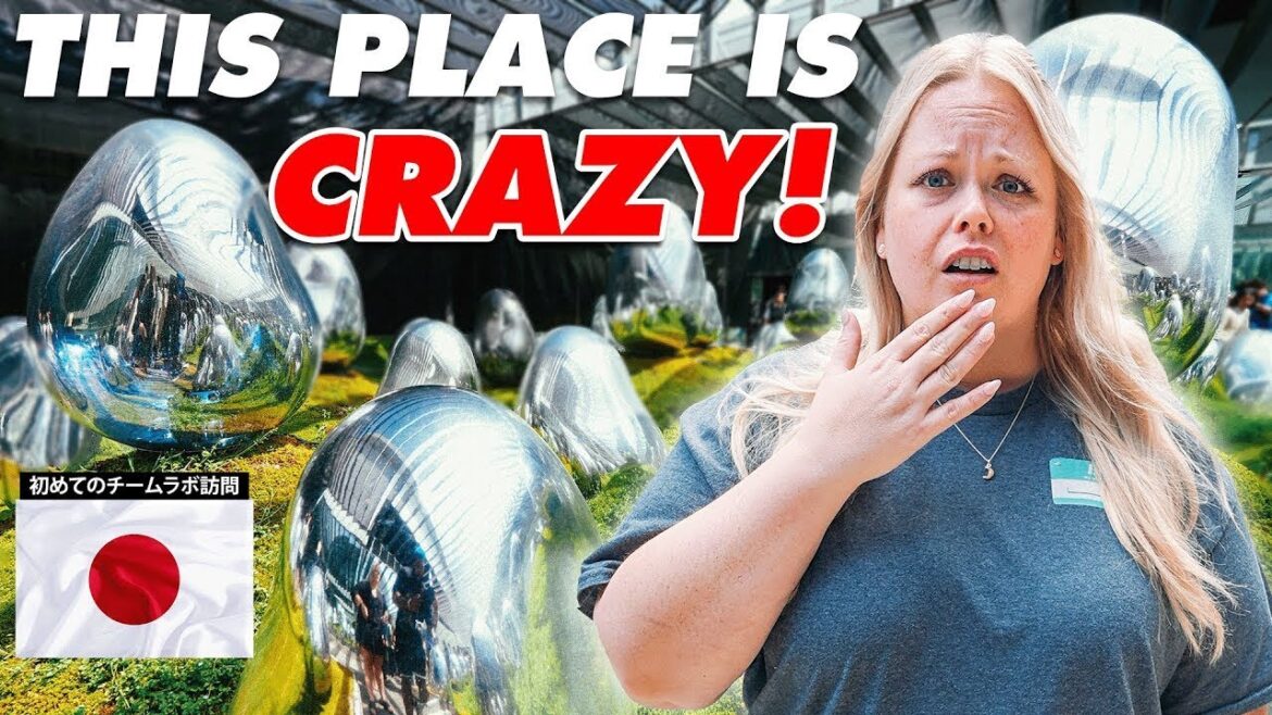 Found One Of The WEIRDEST Places In Tokyo Japan, But I LOVED It!