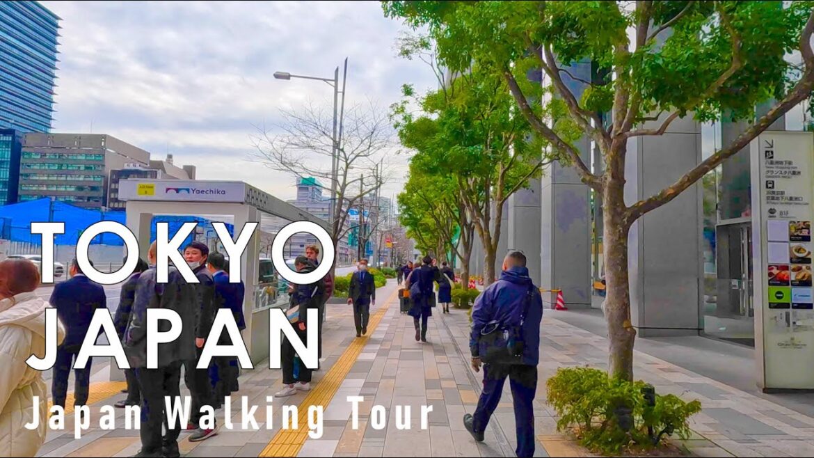 Japan walking tour in Tokyo 2024 4K 60fps