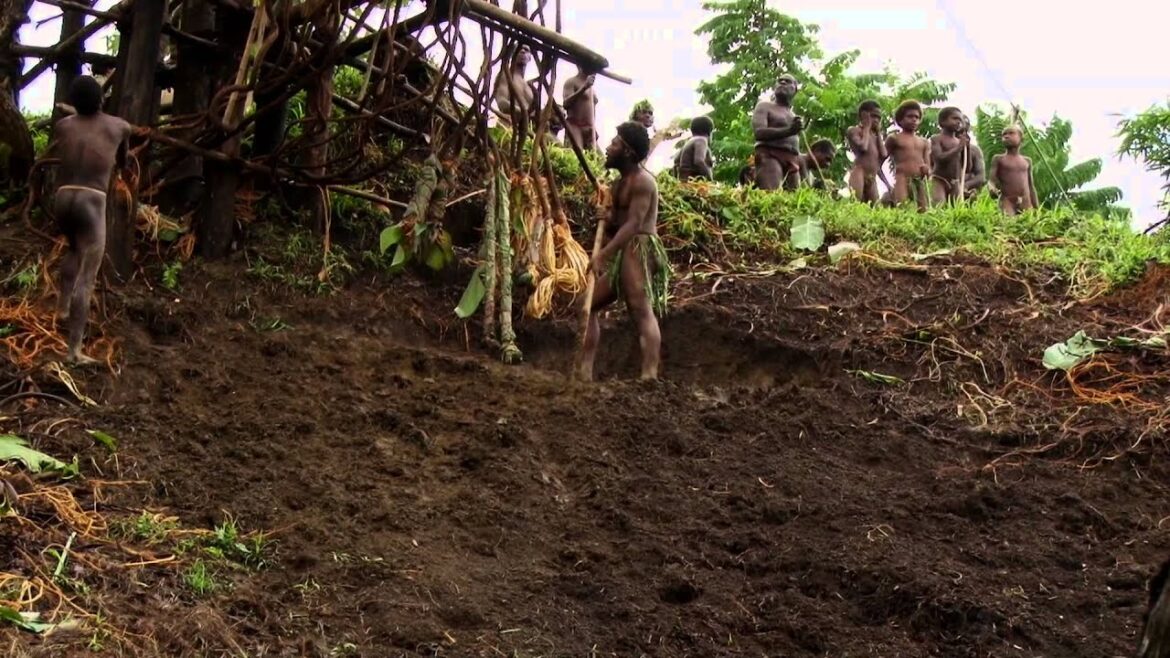 Land Diving at Pentecost Island in Vanuatu