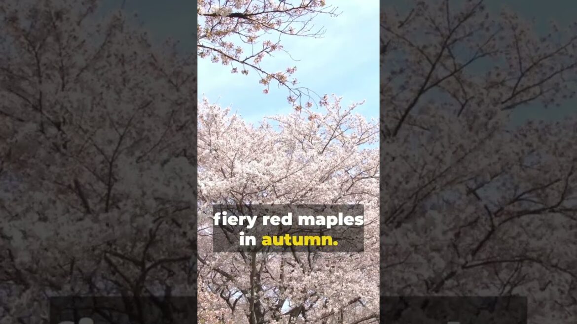 Nagoya's Castle, Gardens, and Modern Marvels | Travel guide #travelguide #top10 #shorts