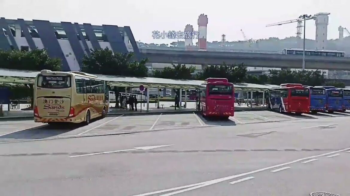 Walking around MACAU 2024🛳️ Taipa Ferry Terminal #travel #walkthrough #bus #transport 花小錢去旅行