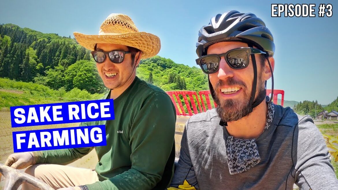 π―π΅ Meeting The Locals In NIIGATA π―π΅ Meeting The Locals In NIIGATA