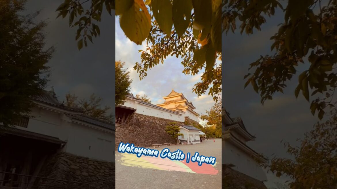 日本環島旅行|和歌山伏虎城|Wakayama Castle|100名城巡禮|Japan 100 Famous Castles |Travelling in Japan|日本旅遊 日本環島旅行|和歌山伏虎城|Wakayama Castle|100名城巡禮|Japan 100 Famous Castles |Travelling in Japan|日本旅遊