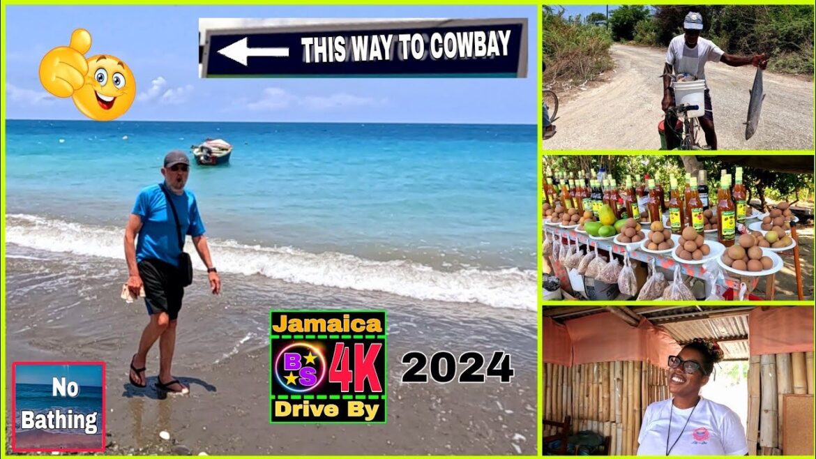 FREDDY LAST DAY, HE VISIT COWBAY / ALBION ST.THOMAS JAMAICA 🇯🇲